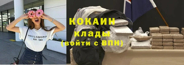 ПСИЛОЦИБИНОВЫЕ ГРИБЫ Бородино