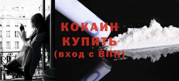 ПСИЛОЦИБИНОВЫЕ ГРИБЫ Бородино